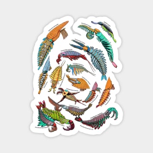 Anomalocaris group Magnet