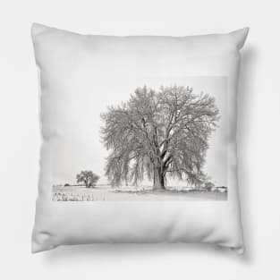 Frosted Cottonwoods Pillow