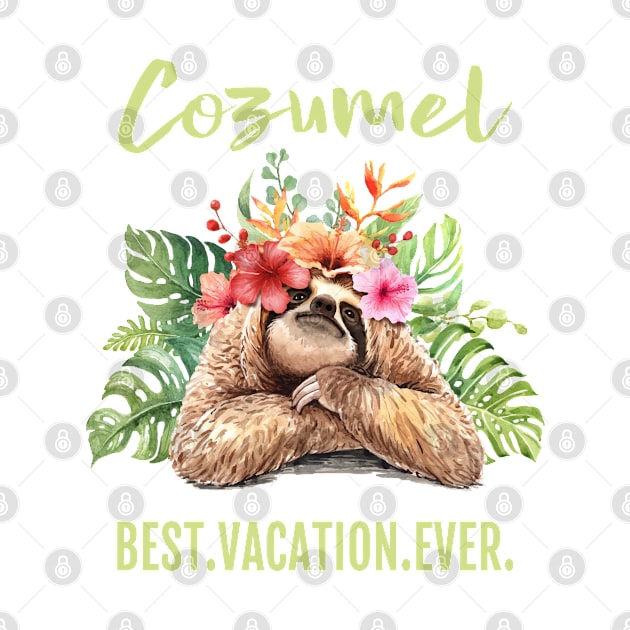 Cozumel Best Vacation Ever Souvenir Gift by grendelfly73