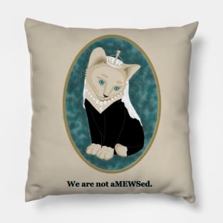 We are not aMEWSed. Pillow