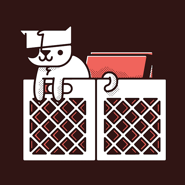 Pirate cats and records crates by jetpacksandrollerskates