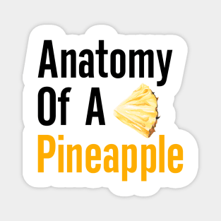 Anatomy of a Pineapple Magnet