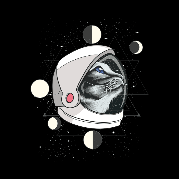 Cat in Galaxy by POS