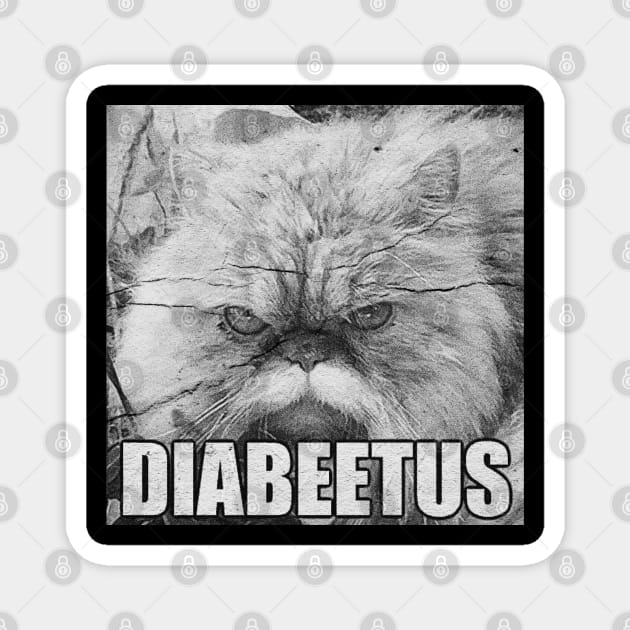 diabeetus Magnet by Kaine Ability