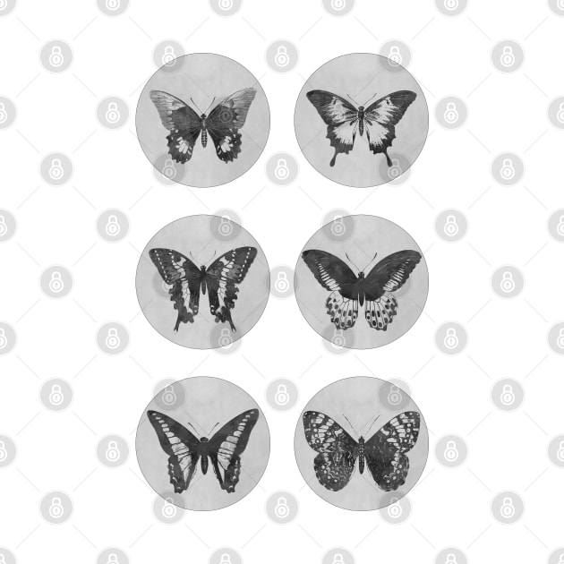 Vintage BUTTERFLIES mega sticker pack monochrome edition by Naumovski