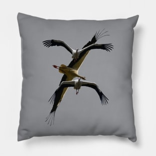 Stork Aerodynamics - Flying Poses Vector Art Pillow