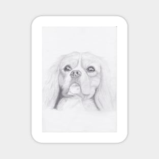 Cavalier King Charles Spaniel Magnet