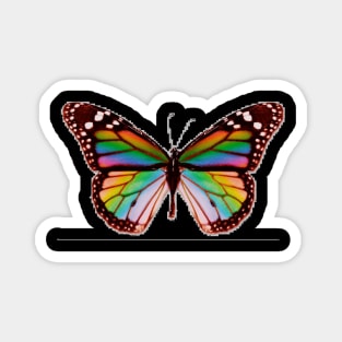 rainbow butterfly Magnet