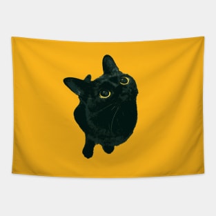 Shorthair Black Cat With Bright Yellow Eyes Looking Up Tapestry