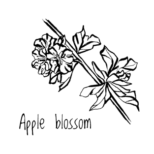 Apple blossom T-Shirt