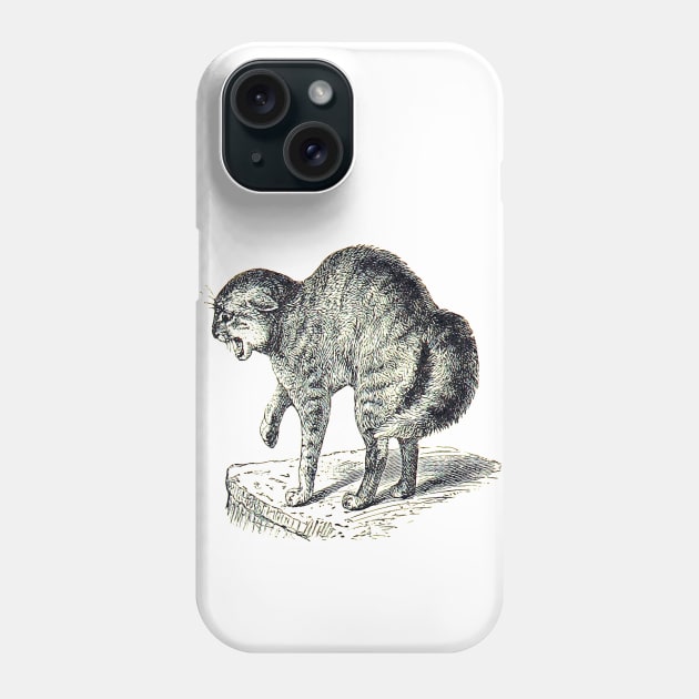 Creepy cat preparing to attack. Vintage drawing. Phone Case by Marccelus