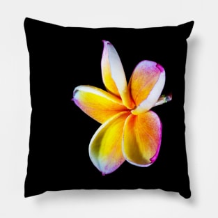 plumeria-flowers-frangipani-floral-blossom-petal-shirtyshirto-90 Pillow