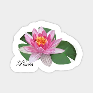 Pisces Floral Orchid Magnet