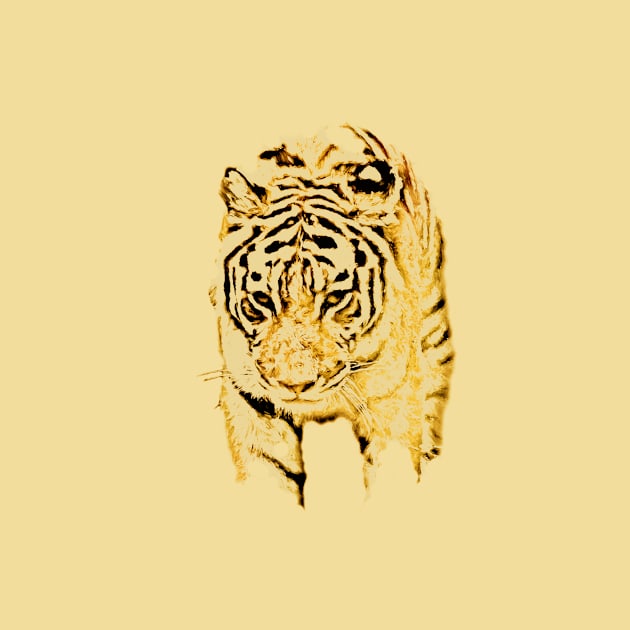 Tiger by Guardi