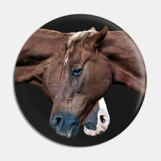 Horse Talk Pin