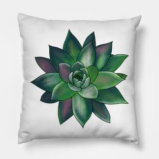 Colorful Succulent - Green and Pink Transparent Pillow