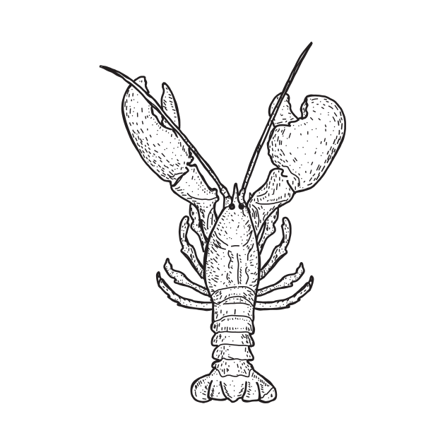 Lobster illustration by JDawnInk