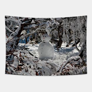 Snowman Tapestry