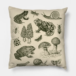 Biology Frogs, Snails, Moths, Mushrooms, Vintage Goblincore Universe Pillow