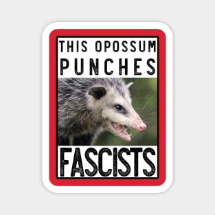 This opossum also punches fascists Magnet