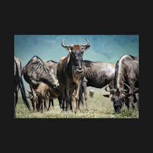 Wildebeest T-Shirt