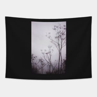 Wildflowers in the Fog Tapestry