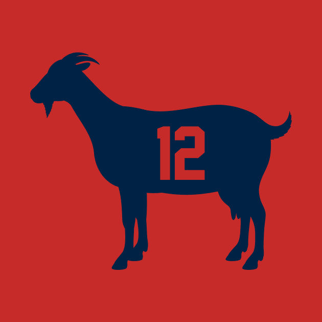 New England Patriots GOAT by N8I