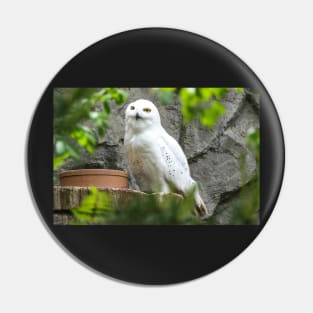 Snow owl Pin