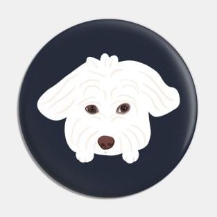 Innocent Maltipoo Pin