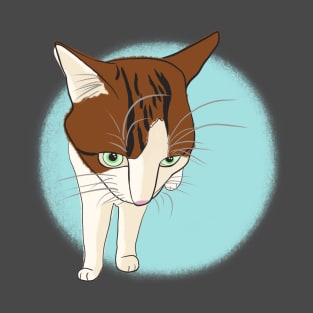 Soya the cat - grumpy T-Shirt