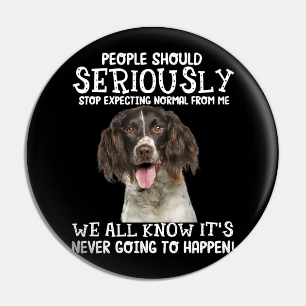 English Springer Spaniel stop expecting normal Pin by Fowlerbg