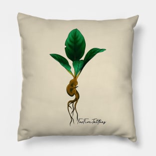 ‘Sprout’ baby Mandrake root Pillow