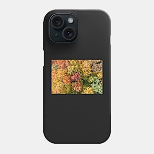 Aerial top down landscape of beautiful colorful autumn forest Phone Case