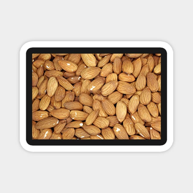 Almond Nuts Magnet by CPAULFELL