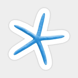 Starfish, Aqua Blue Magnet