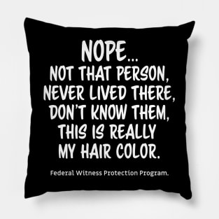 Hidden Identity Pillow