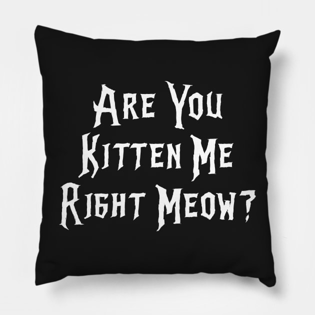Are You Kitten Me Right Meow Pillow by daghlashassan