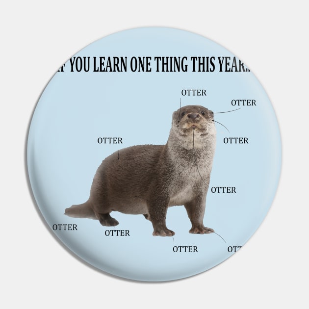 Otter Otter Otter Pin by mennell