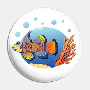 Mandarin Fish Synchiropus splendidus Dragonet Pin
