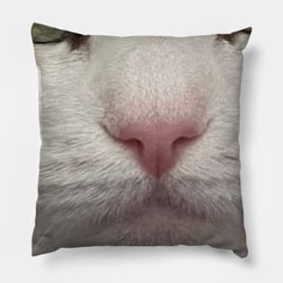 Cat Nap Pillow