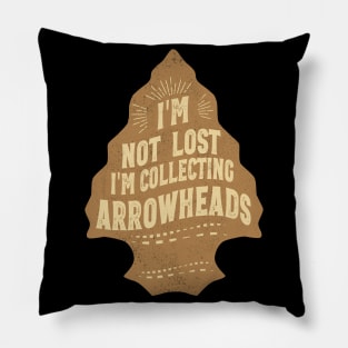 Funny Arrowhead Collecting Vintage Look Gifts Pillow