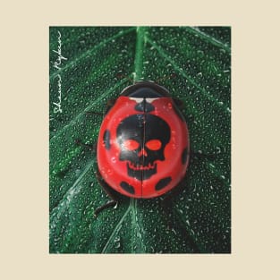 Killer Ladybug T-Shirt