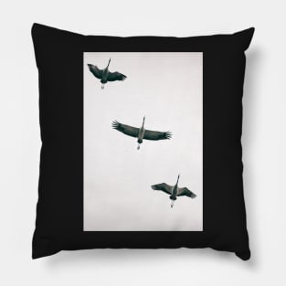 Three Common Cranes Flying in Midair From Below Pillow