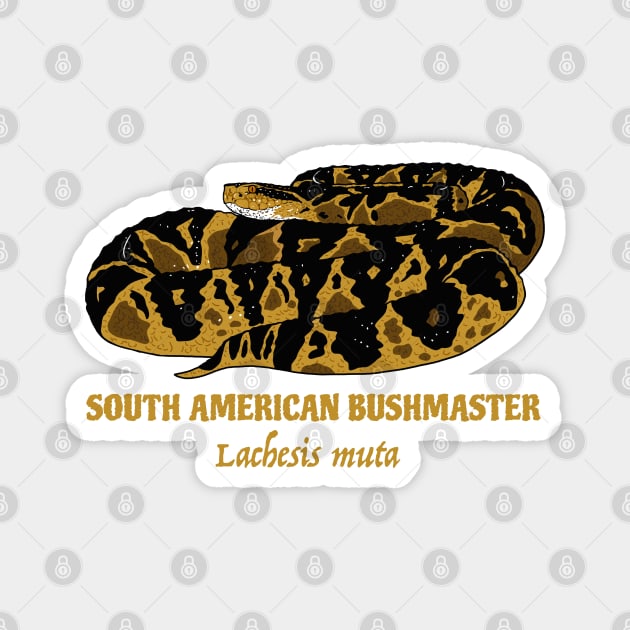 South American Bushmaster, Lachesis muta Magnet by SNK Kreatures