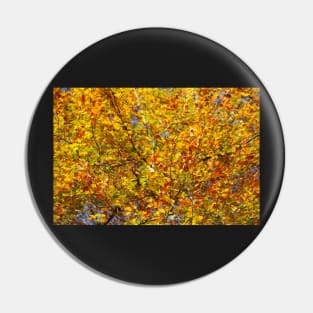 Autumn leaves, leaf color, beech, tree Pin