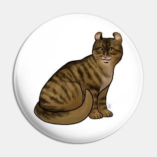Cat - American Curl - Shorthair Dark Brown Tabby Pin