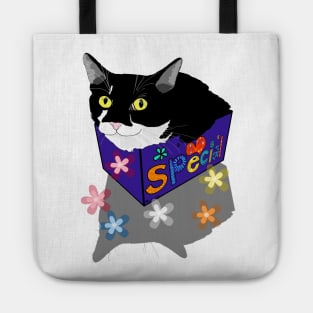 Cute Tuxedo cat sits and fits in a box  Copyright TeAnne Tote