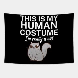 This is my human costume. I'm really a cat. Tapestry