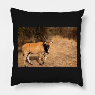 Giant Eland Pillow