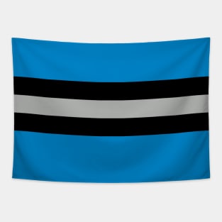 Carolina Color Stripes Tapestry